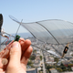 Illustration for article titled Carbon Butterfly Gallery: RC Plane Lighter Than a Sheet of Paper